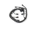Ford 6.0L Powerstroke Injector Harness Gledewen PVC-1